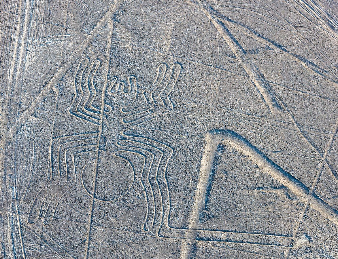 How Aerial Imagery Changed Our Perception